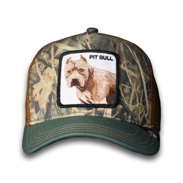 PITBULL CAMO